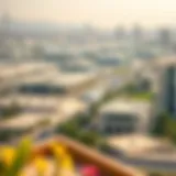 A panoramic view of Al-Braij showcasing its urban development.