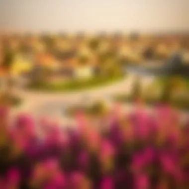 Beautifully Landscaped Community by Aldar Landscaped community developed by Aldar Properties