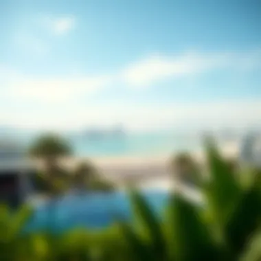 Scenic view of The Palm and surrounding area emphasizing its investment potential