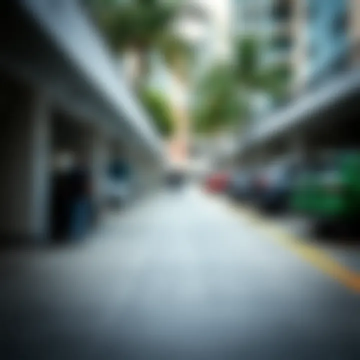 Visitors Engaging with Bluewaters Island Parking Visitors utilizing parking spaces at Bluewaters Island