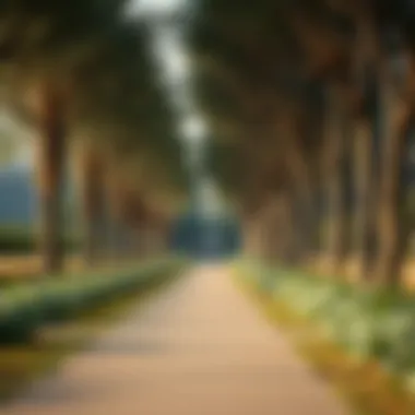 A serene walking path lined with trees and plants within Central Al Reem Park, promoting relaxation