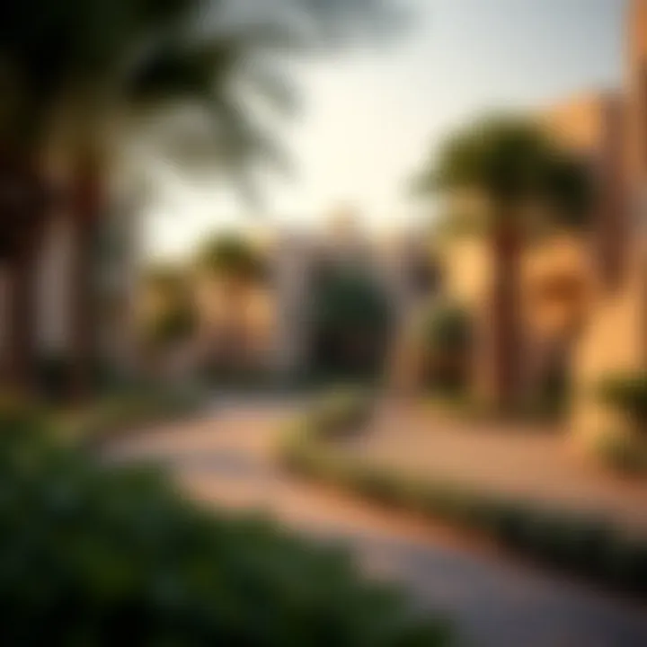 Tranquil Residential Neighborhood in Al Shamka A tranquil residential neighborhood in Al Shamka with lush green spaces