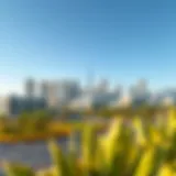 Stunning skyline view of Arjan, showcasing modern architecture