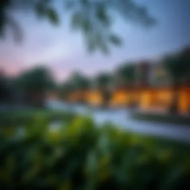 Vibrant Community Spaces in Cedar Creek Beach Emaar Community area with lush greenery and recreational facilities