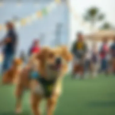 A vibrant dog event in Dubai showcasing community engagement and pet-friendly activities