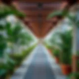 A beautifully designed walkway in Dubai with lush greenery