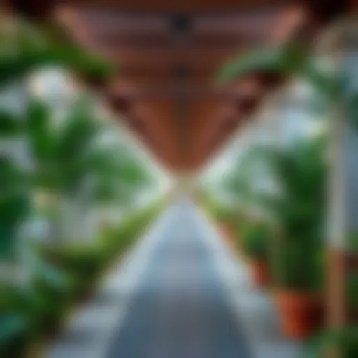 A beautifully designed walkway in Dubai with lush greenery