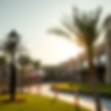 Vibrant Community Amenities of Emaar South Golf Links Community amenities in Emaar South Golf Links, featuring recreational areas and leisure facilities