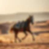 A majestic Arabian horse galloping through the desert landscape of Dubai