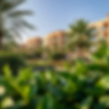 Lush Greenery Surrounding Orchard Place Lush greenery surrounding Orchard Place