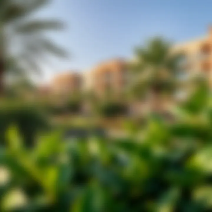 Lush Greenery Surrounding Orchard Place Lush greenery surrounding Orchard Place