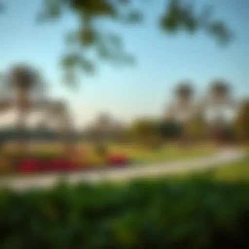 Serene view of Park Zabeel showcasing lush greenery and walking paths