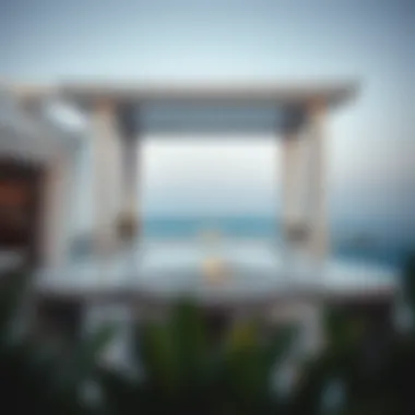 Exclusive amenities at Raffles The Palm