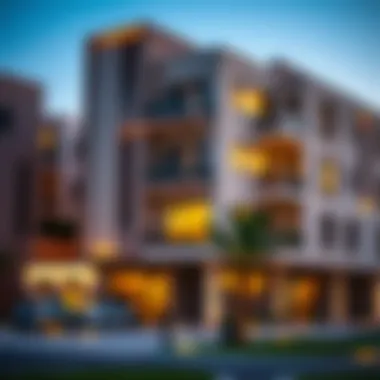 Insights into Rental Market Dynamics in Abu Shagara Infographic on rental market trends in Abu Shagara