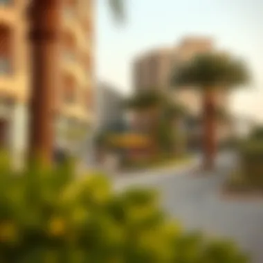 Amenities available in the Sheikh Colony area, including parks and shopping centers