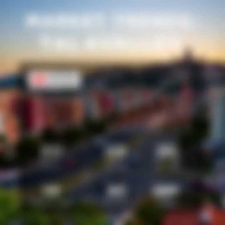 Infographic depicting market trends and growth statistics for Talia Valley