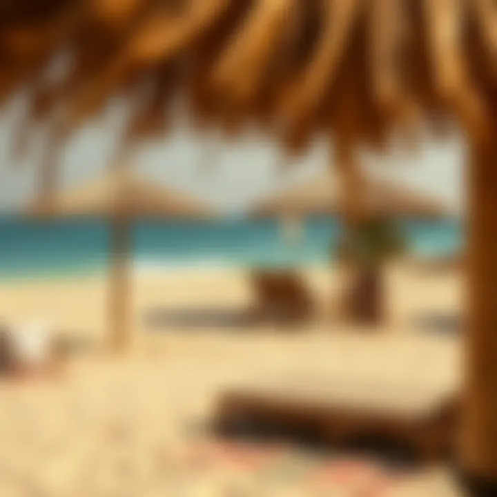 Dubai's Stunning Beaches Golden sands and turquoise waters at a vibrant beach