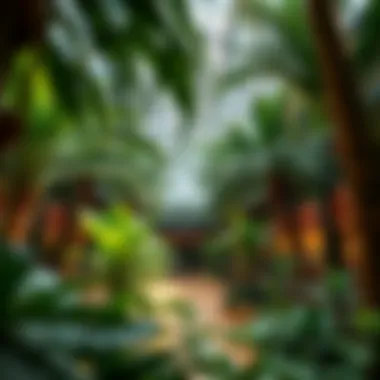 Lush Greenery at Dubai Garden Center Lush greenery inside the Dubai Garden Center