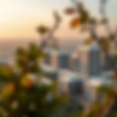 Overview of the International City Phase 2 community