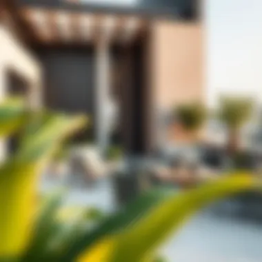 Modern Rooftop Garden Design in Dubai Elegant rooftop garden featuring modern design elements in Dubai