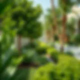 Vibrant Greenery in Dubai's Residential Landscape Lush garden in a Dubai residential community showcasing vibrant greenery