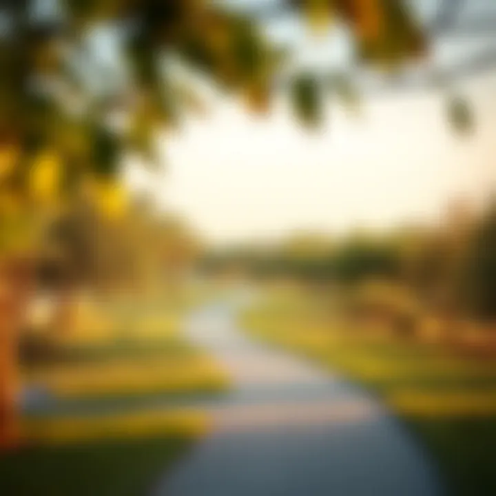 Tranquil Pathways in Khalifa City Park Tranquil pathways surrounded by nature