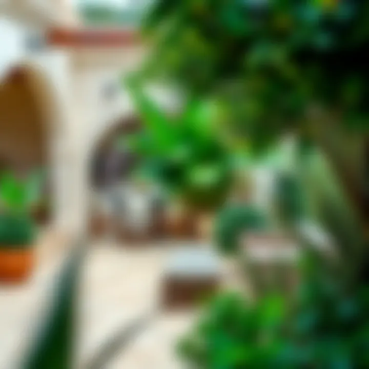 Spacious outdoor area of a villa in Mirdif with greenery