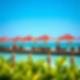 A stunning view of La Mer Beach showcasing vibrant beach umbrellas and crystal-clear waters