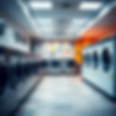 Overview of a modern laundry facility in Damac Hills 2