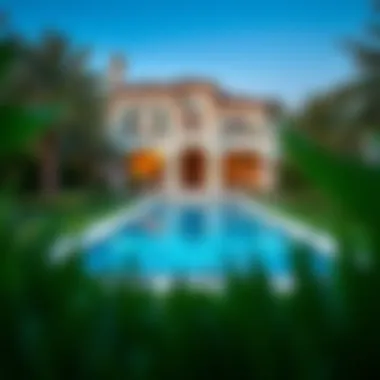 Prime Living: Luxurious Villas in Dubai Luxurious villas in a prime Dubai location surrounded by greenery