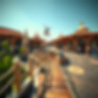 Adventure Zone with Thrilling Activities Adventure zone with thrilling activities