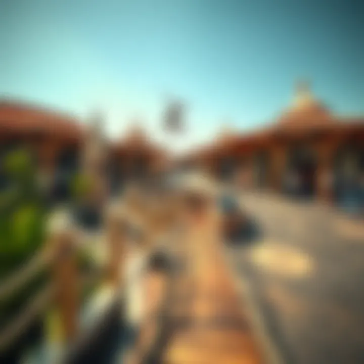 Adventure Zone with Thrilling Activities Adventure zone with thrilling activities