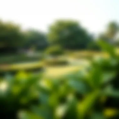 Beautifully landscaped green spaces in Sobha Hartland