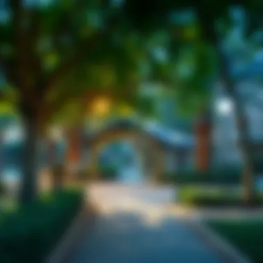 Beautiful Community Park in Al Twar Community park in Al Twar